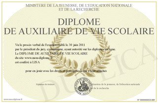 700-43489-DIPLOME DE AUXILIAIRE DE VIE SCOLAIRE