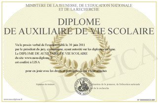 700-43489-DIPLOME DE AUXILIAIRE DE VIE SCOLAIRE