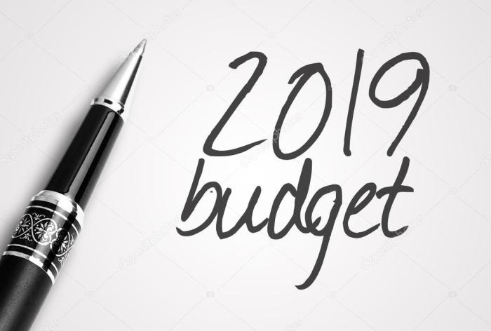 2019-budget